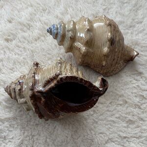 Ceramic Conch Shell Decor